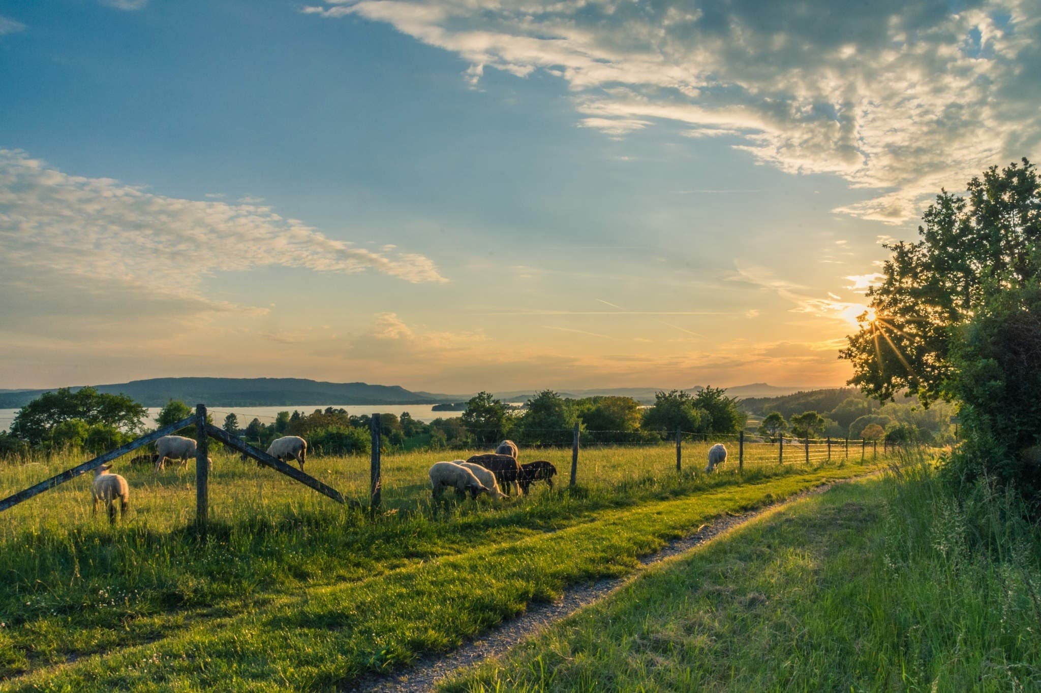 Pastagem rural ao pôr do sol